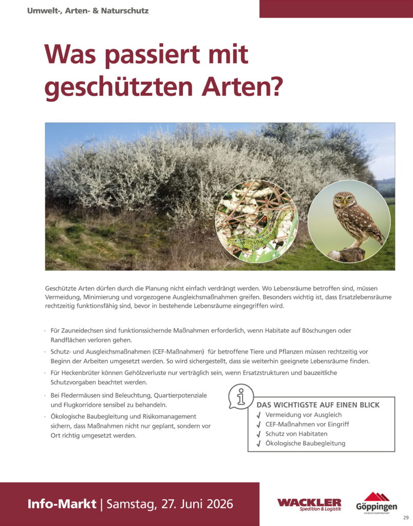Informationsplakat 25 der Bürgerveranstaltung zum Aqua-Römer-Areal Jebenhausen