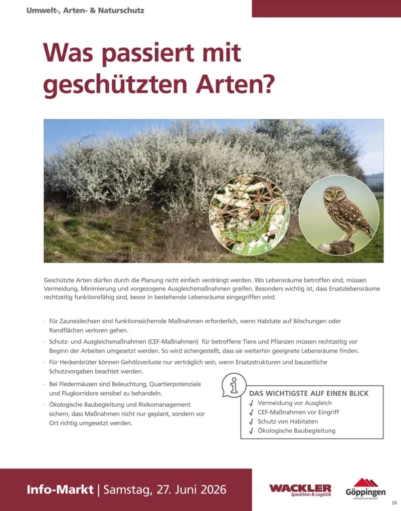 Informationsplakat 25 der Bürgerveranstaltung zum Aqua-Römer-Areal Jebenhausen